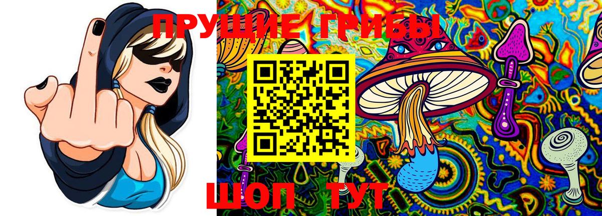 Галлюциногенные грибы Cubensis Бугуруслан